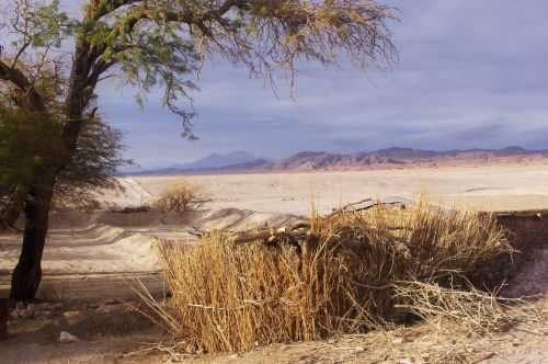 TREKKING NEL DESERTO DI ATACAMA 2015